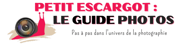 Petit Escargot : Le Guide Photos